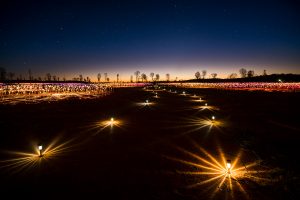 Field of Lights - Uluru
